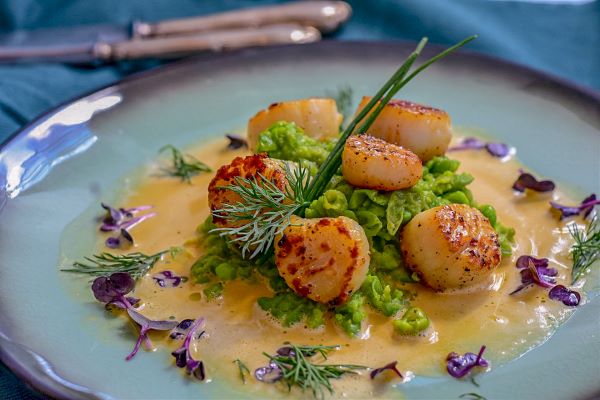 Nantucket Scallops