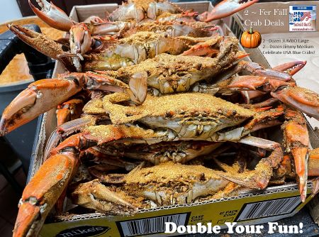 USA Pride ~ Flash Sale :: Jumbos ~ [STEAMED] (2) Dozen Large Male Hard